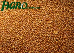 1agro.com.ua