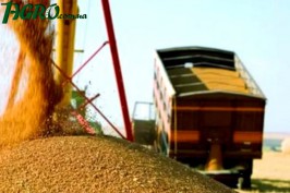 1agro.com.ua