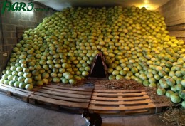 1agro.com.ua
