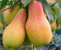 1agro.com.ua