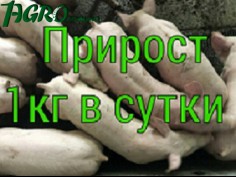 1agro.com.ua