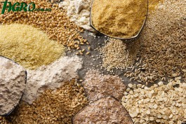 1agro.com.ua