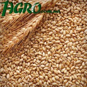 1agro.com.ua
