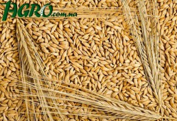 1agro.com.ua