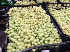 1agro.com.ua