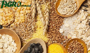 1agro.com.ua