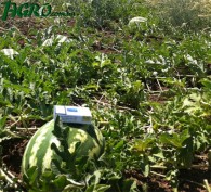 1agro.com.ua