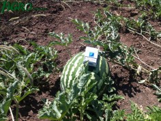 1agro.com.ua