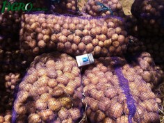 1agro.com.ua
