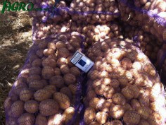 1agro.com.ua