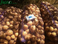 1agro.com.ua