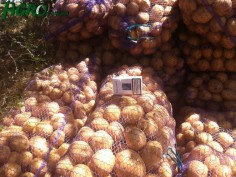 1agro.com.ua