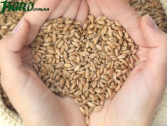 1agro.com.ua