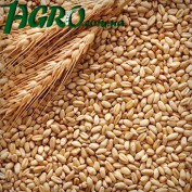 1agro.com.ua