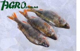 1agro.com.ua