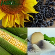 1agro.com.ua