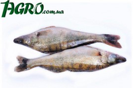 1agro.com.ua