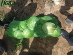 1agro.com.ua