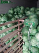 1agro.com.ua