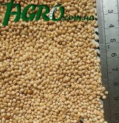 1agro.com.ua