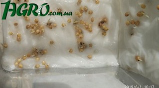1agro.com.ua