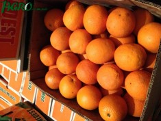 1agro.com.ua