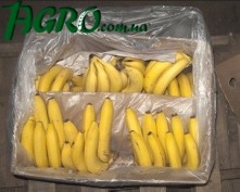 1agro.com.ua