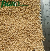 1agro.com.ua
