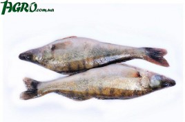 1agro.com.ua