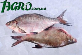 1agro.com.ua