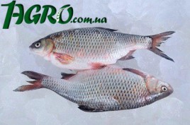 1agro.com.ua