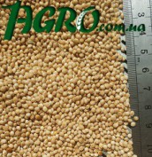 1agro.com.ua