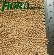 1agro.com.ua
