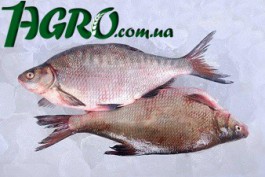 1agro.com.ua