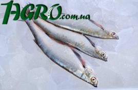 1agro.com.ua