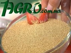 1agro.com.ua