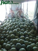1agro.com.ua