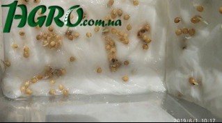 1agro.com.ua
