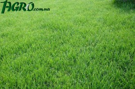 1agro.com.ua