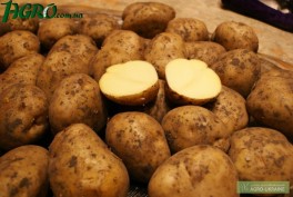 1agro.com.ua
