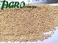1agro.com.ua