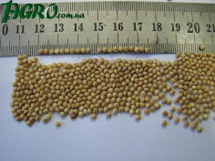 1agro.com.ua