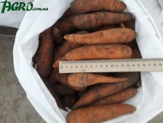 1agro.com.ua