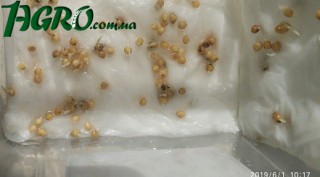 1agro.com.ua
