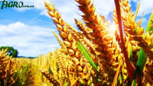 1agro.com.ua