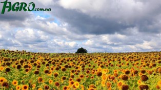 1agro.com.ua