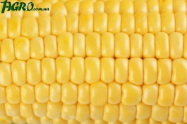 1agro.com.ua