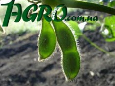 1agro.com.ua