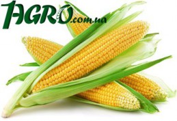 1agro.com.ua