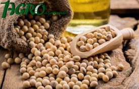 1agro.com.ua